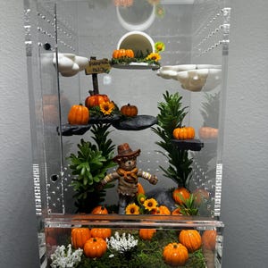Campo de calabazas de 5x5x8 con espantapájaros