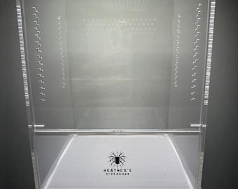 6x6x8 Jumping spider enclosure