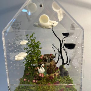 6x6x9 Dark verses light