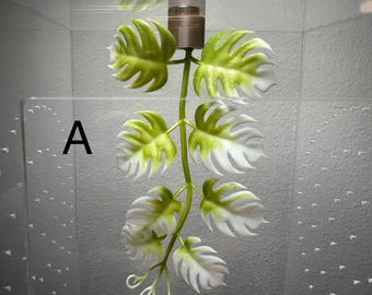 Jumping spider/Mantis magnetic plants