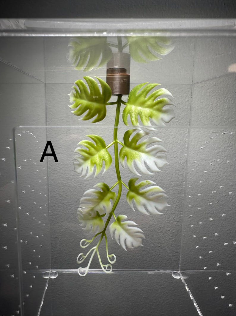 Jumping spider/Mantis magnetic plants