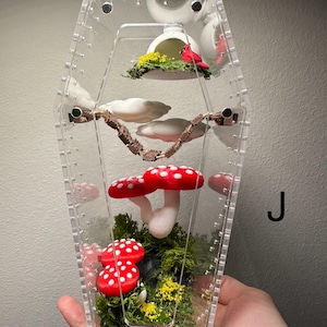 K&ouml;nnte beinhalten: Ein klares Acryl-Terrarium mit einer Miniatur-Waldszene. Es zeigt rot-wei&szlig; gepunktete Pilze, gr&uuml;nes Moos, einen kleinen Vogel und wei&szlig;e wolkenf&ouml;rmige Dekorationen. Das Terrarium wird in einer Hand gehalten.