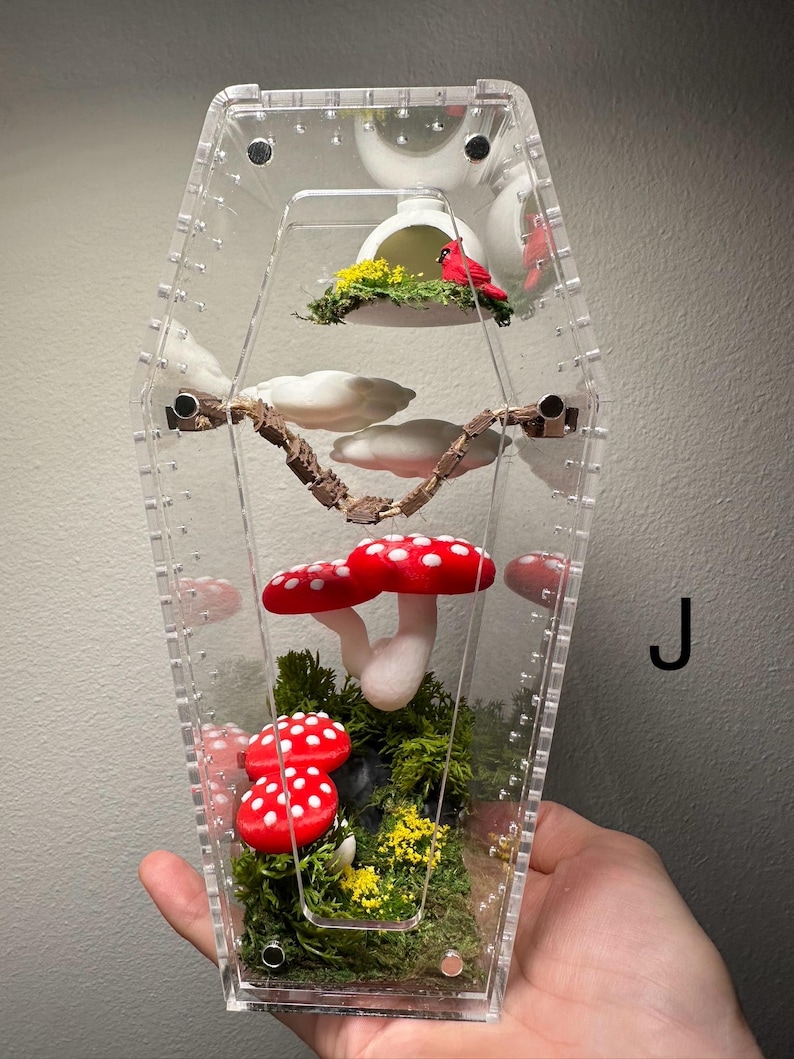 K&ouml;nnte beinhalten: Ein klares Acryl-Terrarium mit einer Miniatur-Waldszene. Es zeigt rot-wei&szlig; gepunktete Pilze, gr&uuml;nes Moos, einen kleinen Vogel und wei&szlig;e wolkenf&ouml;rmige Dekorationen. Das Terrarium wird in einer Hand gehalten.
