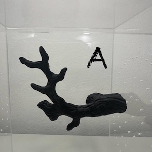 Tree Branches for spiders