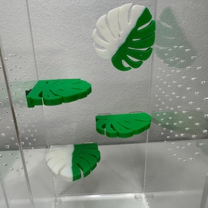 Może przedstawiać: Przezroczysty plastikowy pojemnik z czterema zielonymi i białymi platformami w kształcie liści. Platformy są przymocowane do boków pojemnika.