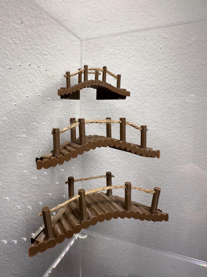 ジャンプするクモのための3Dコーナーブリッジ
