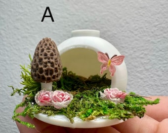 Peau supérieure décorée pour araignées sauteuses