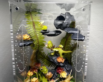 5x5x7 Dragon themed enclosure