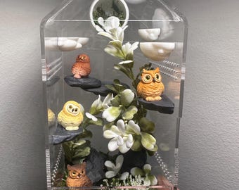 4x4x8 Nature with Owls