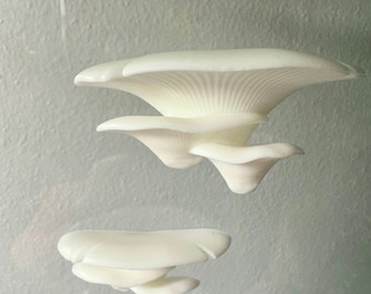 Mushrooms 3 tier for spiders