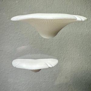 Op de afbeelding: Twee witte, paddenstoelvormige decoratieve objecten zijn op een grijze muur gemonteerd. De bovenste paddenstoel heeft een brede, gebogen kap met een getextureerde onderkant. De onderste paddenstoel is kleiner, met een vergelijkbare vorm en textuur.