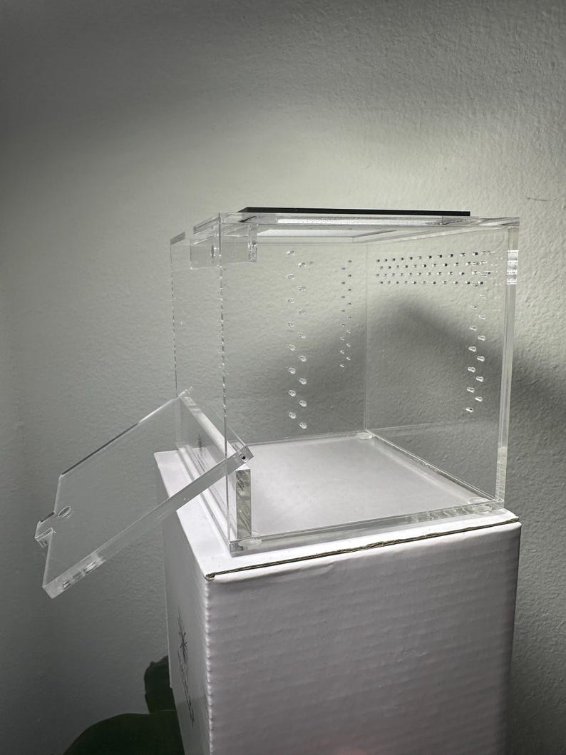 May include: A clear acrylic terrarium with a hinged door and ventilation holes. The open door reveals the interior, and the terrarium sits atop a white cardboard box. The design is simple and functional, suitable for housing small animals.