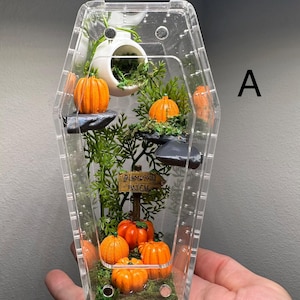 Op de afbeelding: Een doorzichtige acryl vitrine in de vorm van een doodskist met een miniatuur pompoenveld scène. De display bevat oranje pompoenen, groen gebladerte, donkergrijze stenen en een klein houten bordje met de tekst PUMPKIN PATCH.