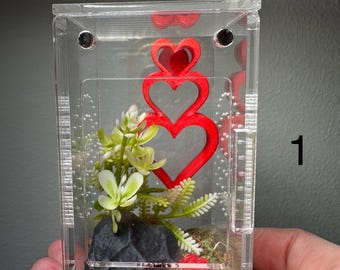 Decorated sling enclosures