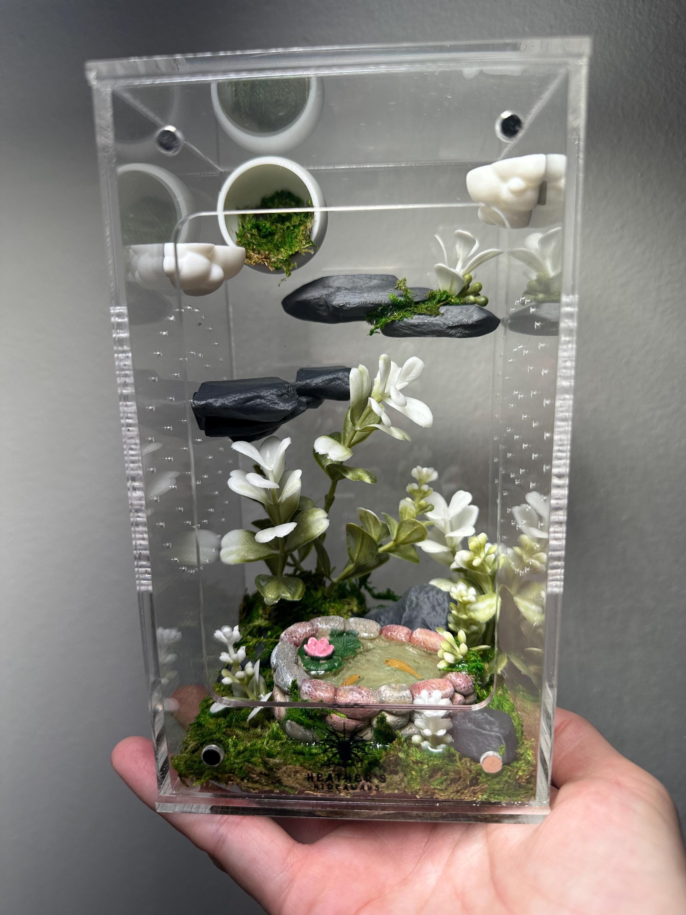 Nature with pond