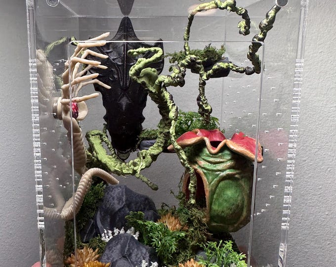 5x5x7 Alien Enclosure - Etsy UK