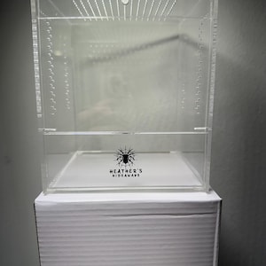 5x5x6 Jumping spider enclosures