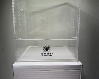 5x5x6 Jumping spider enclosures