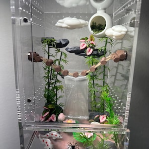 5x5x8 Waterfall nature enclosure