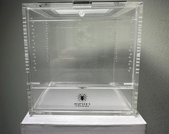 Recinto para mantis de 4x4x4