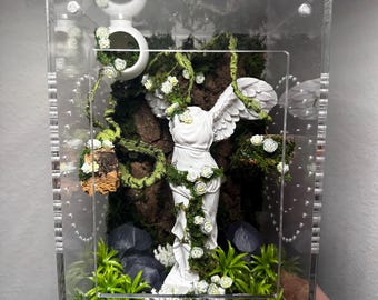 5x5x7 Corl back with statue