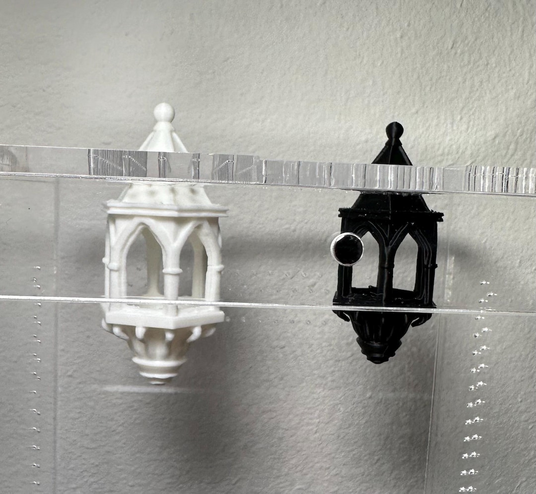 Jumping Spider Window Hide - Etsy