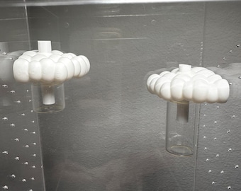 Jumping spider cloud hydration station