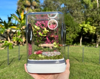 Nature enclosure with pond