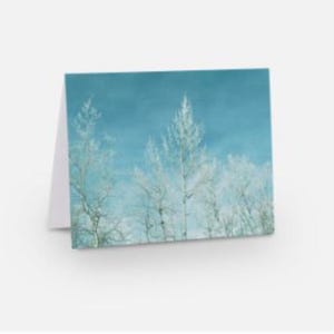 Lot de 10 cartes avec enveloppes, « La Reine des neiges », paysages d'hiver, vierges, Noël, vacances/toute occasion cartes de voeux, 5,5 x 10,4 cm pliées