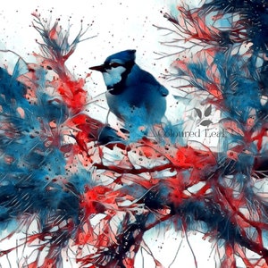 Lot de 10 cartes de correspondance avec enveloppes, « Rouge sur geai bleu », motif oiseau, vierges, cartes de voeux de Noël, de vacances/toute occasion, 5,5 x 10 cm pliées
