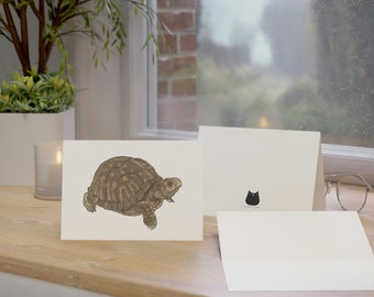 Eastern Box Turtle Greeting Card