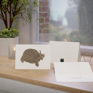 Birthday Box Turtle