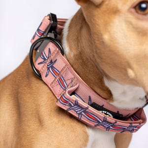 Barbed Wire Traditional Tattoo Brown Tuff Bones Pet Supply Tactical Big Dawg Collar