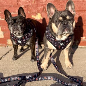 Traditional Tattoo Black Adjustable Tuff Bones Pet Supply Dog Harness image 7