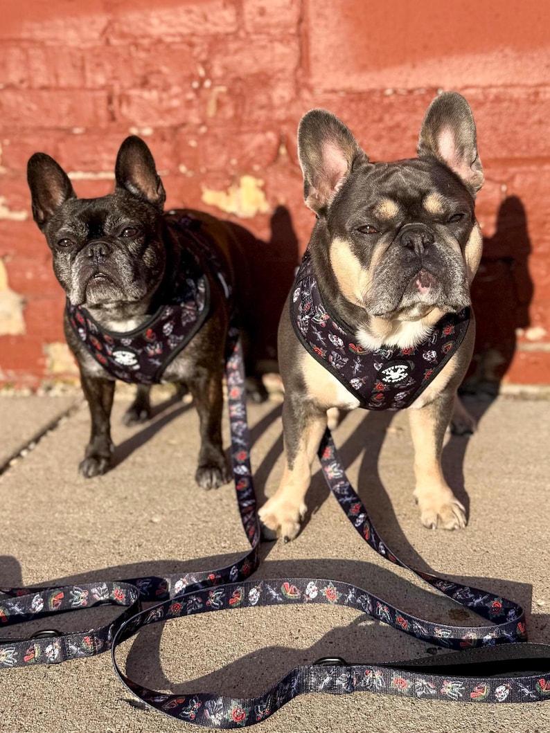 Traditional Tattoo Black Adjustable Tuff Bones Pet Supply Dog Harness image 7