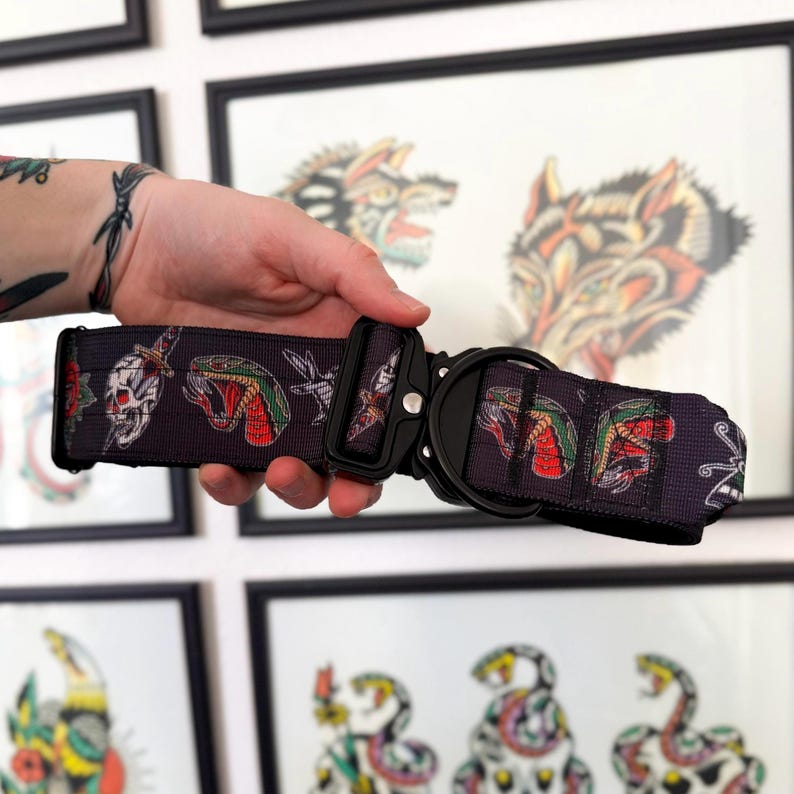 May include: A dark gray pet collar featuring a repeating pattern of skulls, daggers, and green and red snakes. The collar includes a black metal quick-release buckle and a black metal D-ring for attaching a leash, constructed from durable webbing.