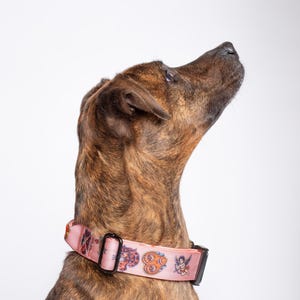 Valentine Traditional Tattoo Pink Tuff Bones Pet Supply Tactical Big Dawg Collar