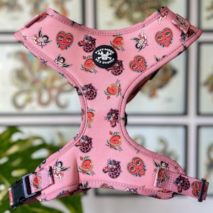 May include: Pink dog harness with a pattern of hearts, arrows, and panthers. The harness has a black buckle and a black patch with the text "Tuff Bones Pet Supply".