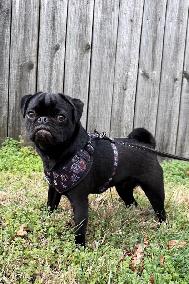 Traditional Tattoo Black Adjustable Tuff Bones Pet Supply Dog Harness image 3