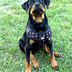 Traditional Tattoo Black Adjustable Tuff Bones Pet Supply Dog Harness image 5