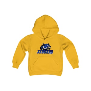 Sport Hoodie “JDC High School Mississippi School” Retro Jaguar Mascot Hooded Sweatshirt for Sport, College, Festival Gift for Sport Friends