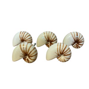 May include: Five nautilus shell-shaped cabinet knobs. The knobs are off-white with brown striped detailing. The knobs are made of ceramic and have a glossy finish. The knobs are designed for furniture and home decor.