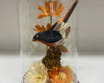 Vintage Pillar Cloche Bird and Flower Display