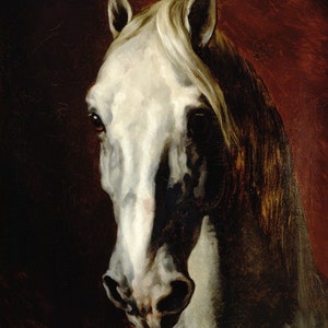 Theodore Gericault Head of a white horse, oil painting Reproduction, living room decor, horse paintings, home decor wall art,