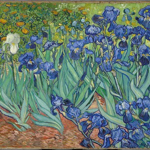 Vincent Van Gogh Irises, Oil Painting Reproduction, flower painting, Framed painting, home decor wall art