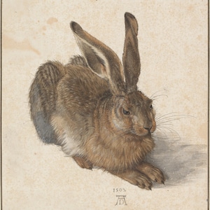 Albrecht Durer Young Hare 1502, oil painting reproduction, Rabbit Painting, home decor wall art, living room wall art, Farmhouse Wall Art