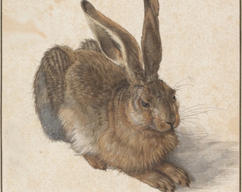 Albrecht Durer Young Hare Oil Painting Reproduction, Farmhouse Wall Art