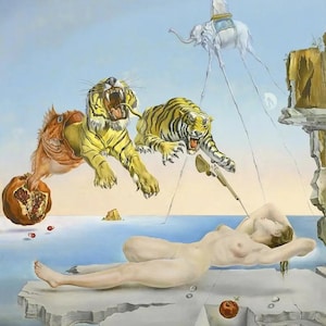 Salvador Dali Dream Caused, Oil Painting Reproduction, Framed Painting, oil painting on canvas, home decor wall art,