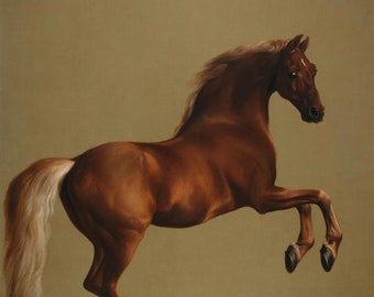 テオドール・ジェリコー「白い馬の頭」1815年、高品質油絵複製 - Etsy 日本