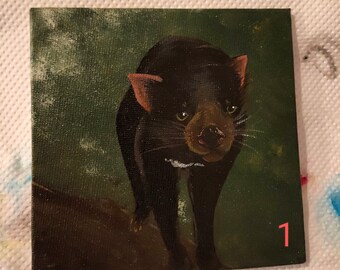 Tasmanian Devil Paintings, Australian Art (4"x4")